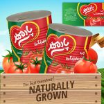 طرح بسته بندی رب لایه باز