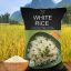 موکاپ گونی برنج